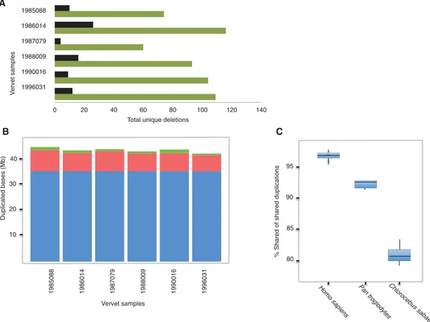 Figure 3. Structural variation among vervets. (A) The total deletions unique to each vervet for a size range of 500 bp –1 Mb are shown in green bars, and those genes where any exon space is deleted in one chromosome or greater are displayed as black bars