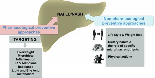 Fig. 3. Potential therapeutic targets in NAFLD/NASH. The main targets for the pharmacological and  non-pharmacolo-gical intervention for prevention of NAFLD or NASH are shown