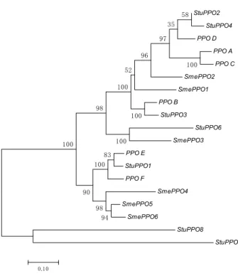 Figure 2. Evolutionary relationships among Solanaceae PPOs inferred by using the Maximum Likelihood 