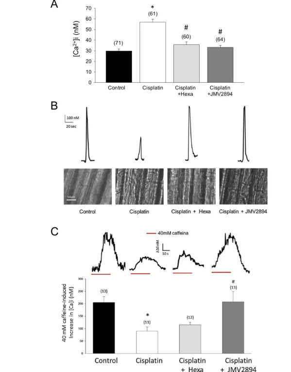 Figure 4 Effects of cisplatin and GHS treatments on resting [Ca 2+ ] i , excitation-calcium release coupling and SR properties