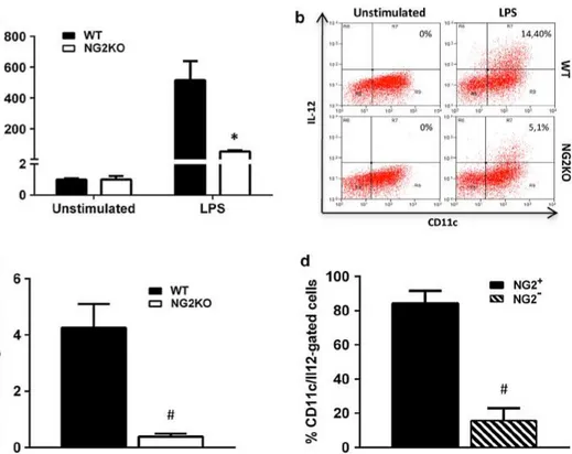 Fig. 6   The expression of IL-12 is reduced in NG2KO DCs. a Real-