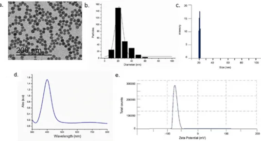 Figure 1. Characterizations of silver nanoparticles (AgNPs) in water: Representative TEM image (a), 