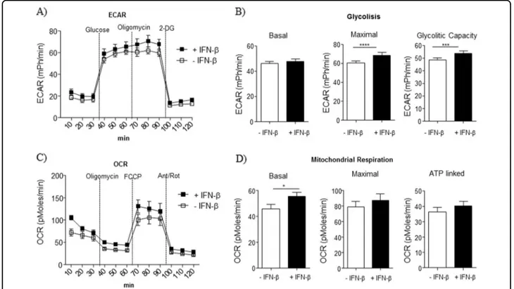 Fig. 3 Exposure to IFN β modiﬁed MSC energetic metabolism. a Kinetic proﬁle of ECAR in MSC treated or not with IFNβ for 12 h