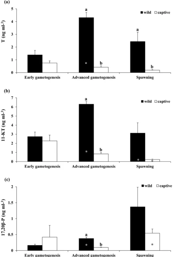 Fig 6. Mean ( ± SE) plasma (a) Testosterone (T), (b) 11-Ketotestosterone (11-KT) and (c) 17,20 β -P in wild and captive-reared greater amberjack males at three phases of the reproductive season