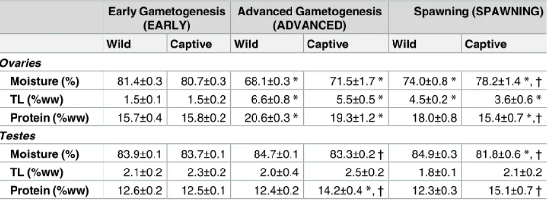 Table 5. Mean values ( ± SE) of main lipid classes (% of total lipids) of gonads from wild and captive- captive-reared greater amberjack sampled at three different phases of the reproductive cycle.