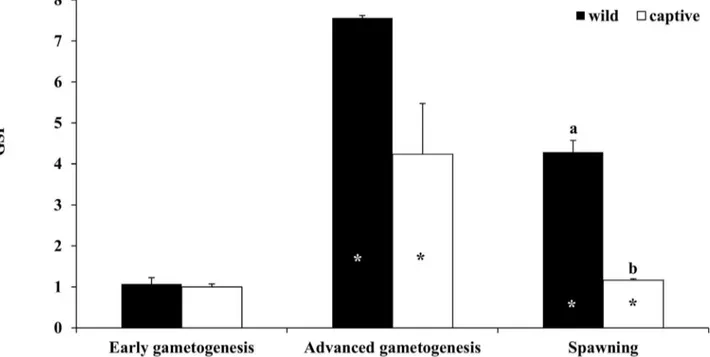 Fig 1. Mean ( ± SE) gonado-somatic index (GSI) of wild and captive-reared greater amberjack females sampled in three phases of the reproductive season