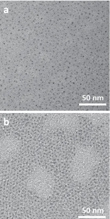 Figure 2. TEM images of (a) PbS NCs and (b) PbS–CdS NCs.