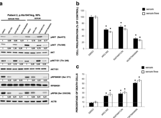 Fig. 5 Effect of ARQ 092 is different from rapamycin and wortmannin in primary fibroblasts