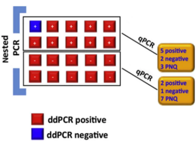 Figure 3 Comparison between real-time quantitative PCR (qPCR) and droplet digital PCR (ddPCR) for 20 follow-up points [10 positive and 10 negative at qualitative PCR (QL-PCR)]