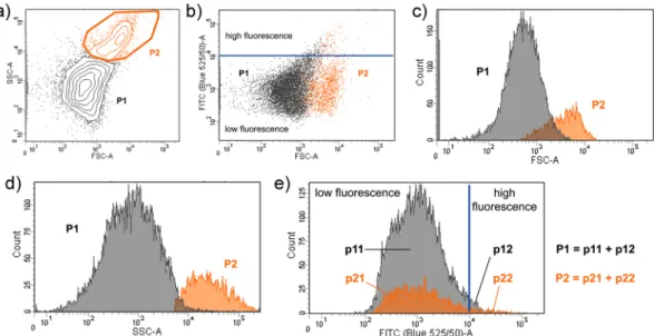 Figure 5.  Flow cytometry analysis of vesicles obtained from the hydration of Mix A. (a) The whole vesicle  population has been partitioned in two sub-populations (P1 and P2) on the basis of the appearance of the  side-scattering (SSC) vs