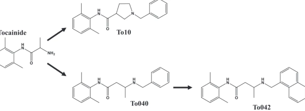 Fig. 1. Chemical structures of tocainide and explorative compounds. The compound To10 is a benzyl-N-substituted b -proline derivative of tocainide (known also as NeP1, Ghelardini et al., 2010 )