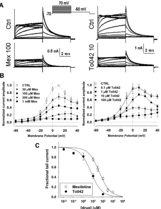 Fig. 6. Comparative effects on To042 and mexiletine on hERG potassium channel. (A) Representative traces of hERG potassium currents recorded in transfected tsA201 cells at steady-state before (CTRL) and during application of 100 m M mexiletine (left panel)