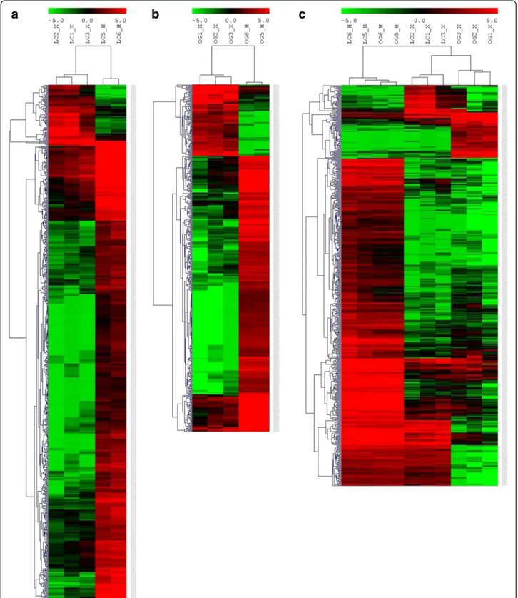Fig. 3 Heat map showing the 659 (a), 447 (b) and 512 (c) differential expressed transcripts of the Xf-infected cv
