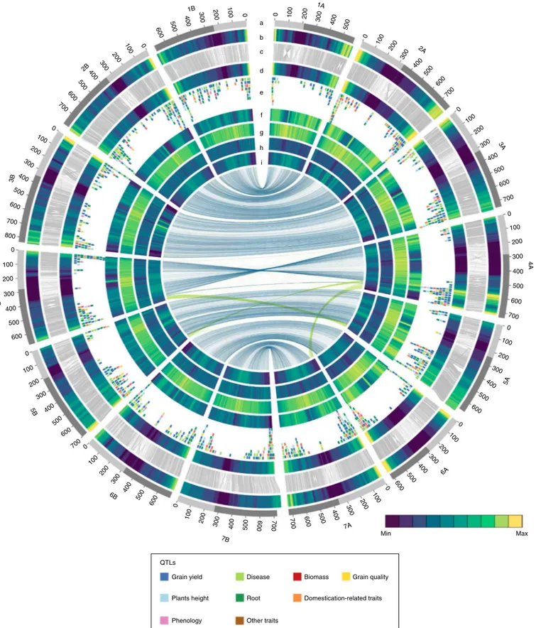 Fig. 1 | Structural, functional and conserved synteny landscape of the DW genome. Tracks from outside to inside