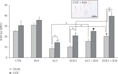 Figure 5: Quantitative evaluation of sirtuin 1 (SIRT-1) immunopositivity in osteoblasts (HOB) after 3 days of culture as IOD (Integrated Optical Density)