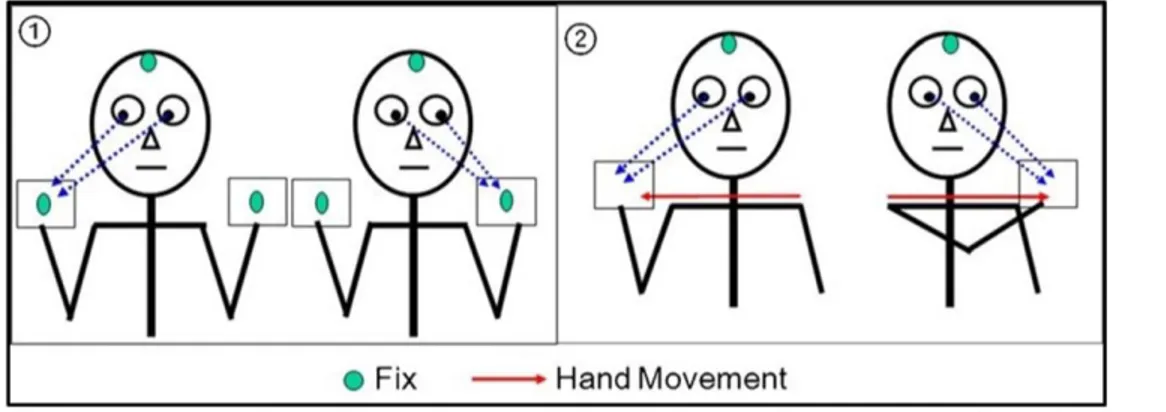 Figure  1.  Oculomotor  exercises  illustrations  and  descriptions.  The  target  was  held  in  the  subjects  hand  approximately thirty centimetres away from the participants' eyes