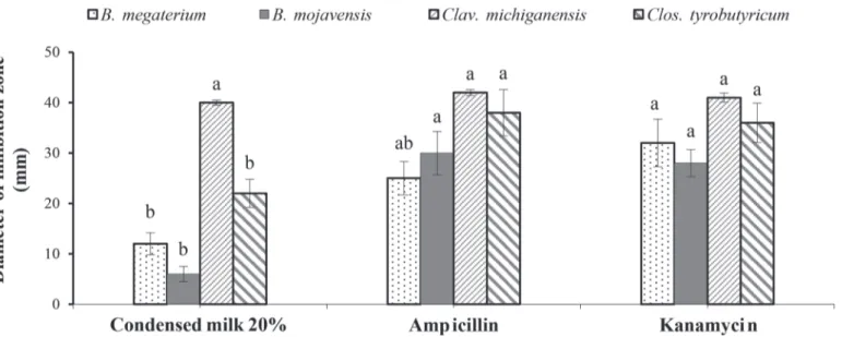 Figure 1.  In vitro antibacterial activity of condensed donkey milk compared with ampicillin and kanamycin in a disk diffusion assay