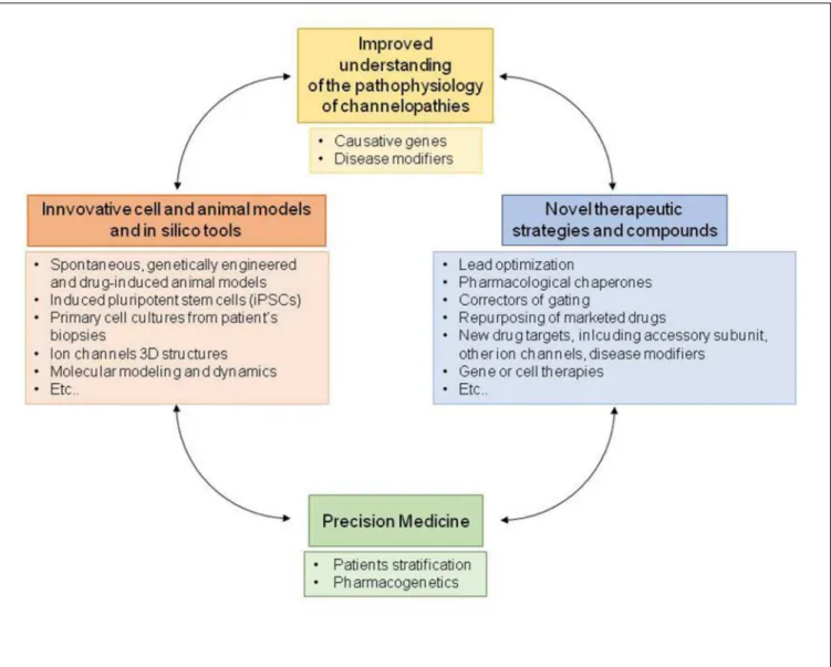 FIGURE 4 | Schematic diagram illustrating the process of drug discovery, from the analysis of disease pathophysiology to development of a precision medicine.