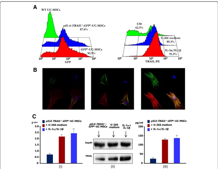 Fig. 2 TRAIL expression and modulation in pIL6-TRAIL + -GFP + -UC-MSCs. a Left: transfection efficiency of UC-MSCs evaluated by flow cytometry for GFP fluorescence