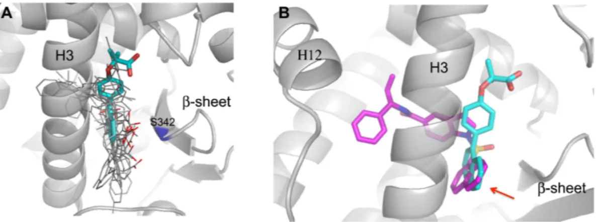 Figure 4.  Comparison of PPARγ complexes. (A) Superposition of PPARγ  complexes (gray) with known 