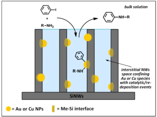 Figure 9. Schematic of C aryl –N coupling occurring into the interstitial space of SiNWs