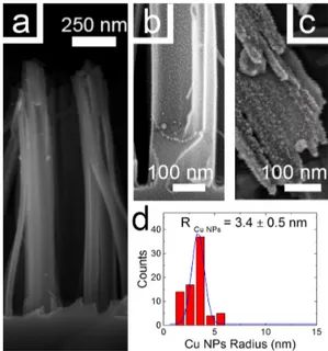 Figure 2. Cross-section SEM images (Field Emission Zeiss Supra 25 Microscope) of the (a) top, (b) 