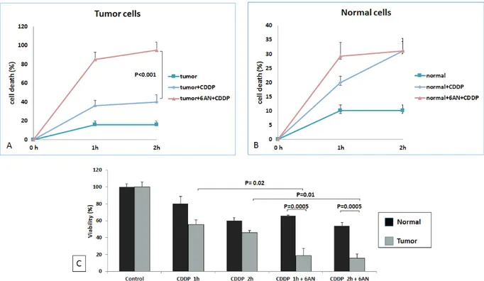 Figure 8: G6PdH has role in rcc resistance to cisplatin-induced cytotoxicity.  At 1 and 2 hours (h) death rate of blocked  tumor cells (tumor+6AN+CDDP) was significantly higher than that of unblocked cells (tumor+CDDP) ( P  &lt; 0.0001) A
