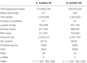 TABLE 1 | Summary of A. butzleri 55 and 6V genome sequencing and assembly results.