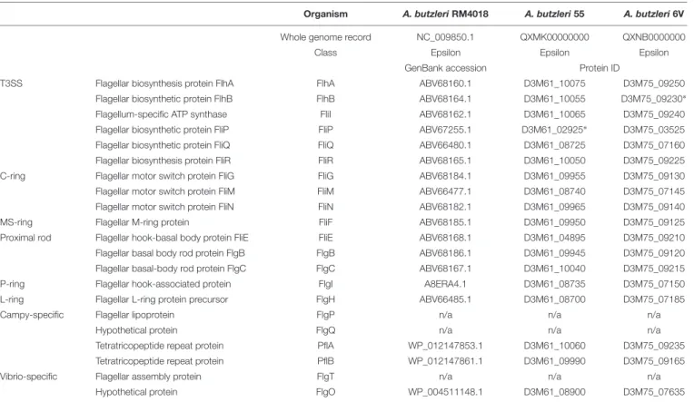 TABLE 3 | Flagellum proteins in Arcobacter butzleri genomes.