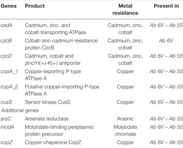 TABLE 5 | Metal resistance genes in Ab 55 and Ab 6V genomes.