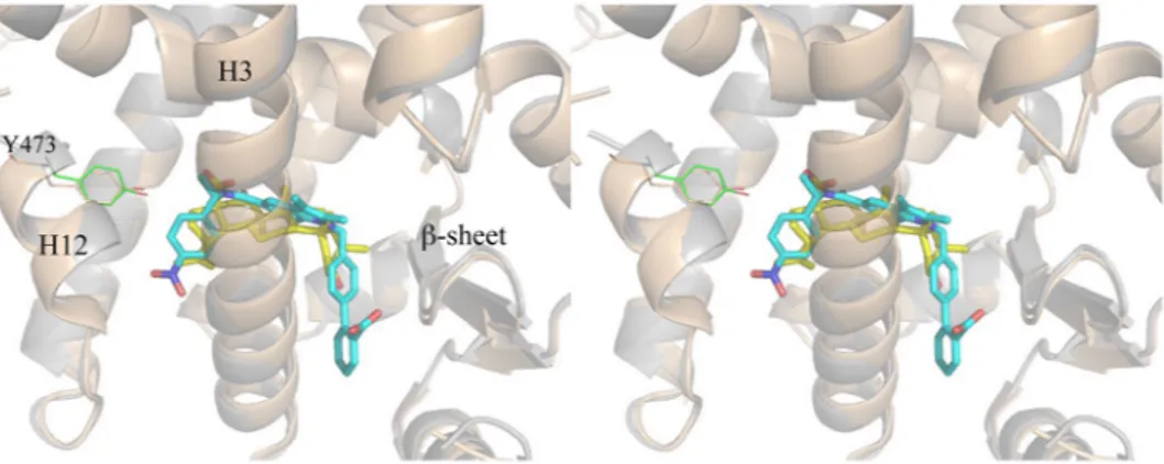 Figure 6.  F282/F363 switch mechanism. In the PPARγ/LT175 X-ray structure (cyan) the ligand LT175 (green)  forces the F282 chain to switch from the trans to the gauche* conformation, and in turn the F363  side-chain also changes its conformation by 180°, c