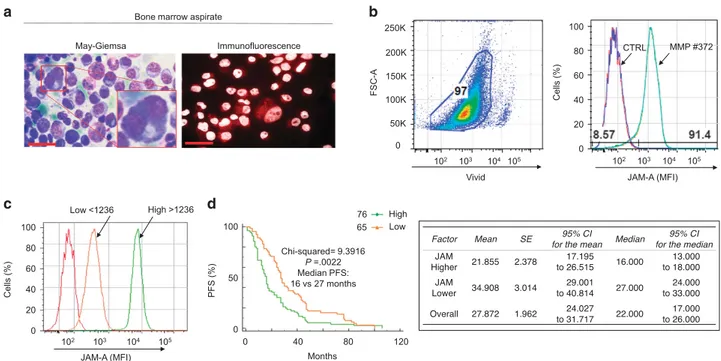 Figure 1. JAM-A is overexpressed in MM patient-derived primary plasma cells. (a) MM primary plasma cells (MM-PCs): May–Giemsa and immuno ﬂuorescence staining of JAM-A expression from a representative patient