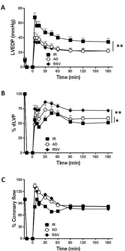 Fig 1. AD preconditioning improves post-ischemic recovery of ventricular function with effects partially overlapping those induced by RSV preconditioning
