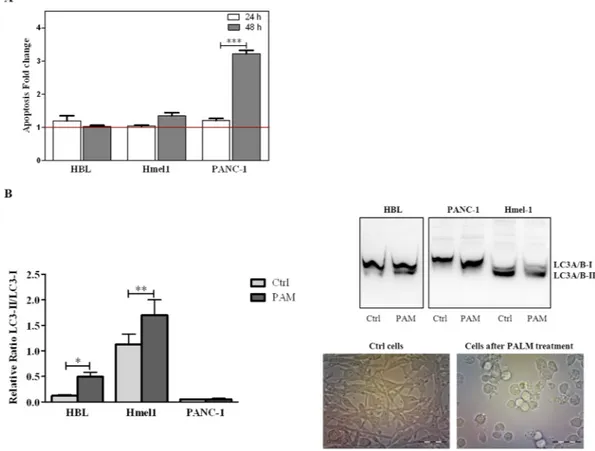 Figure 6. (A) Apoptosis of HBL, Hmel1 and PANC-1 cells after 24 h or 48 h of PALM treatment was detected 