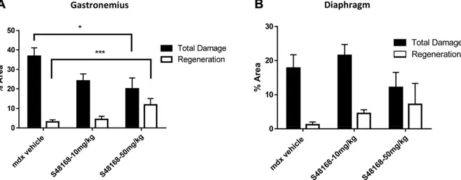 Figure 5. Area of total damage and regeneration in GC muscle (A) and DIA (B) from mdx mice treated with vehicle or S48168 at 10 or 50 mg/kg per day after 4 wk of treatment