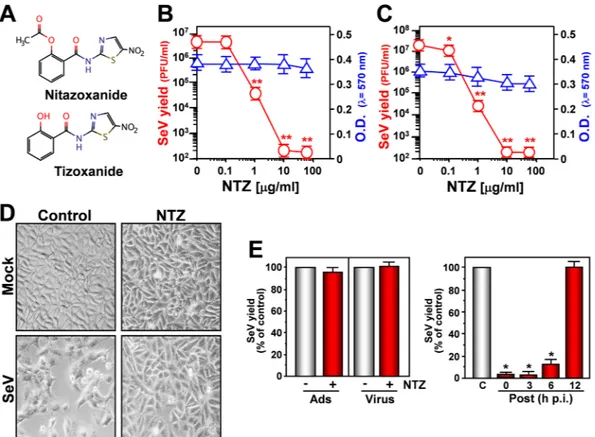 Figure 1.  Nitazoxanide inhibits Sendai virus (SeV) replication at post-entry level. (A) Structure of nitazoxanide 
