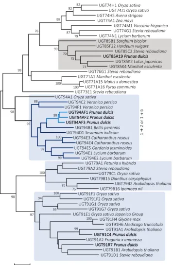 Figure 5.  Phylogenetic neighbor-joining tree of 50 UGTs known to catalyze glycosylation of the Glc moiety in different classes  of monoglucosides from different plant species