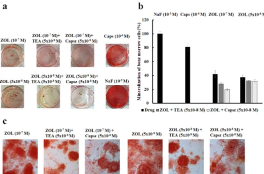 Figure 8. (a) Mineralization assay with alizarin red S staining for calcium nodules upon treatment 