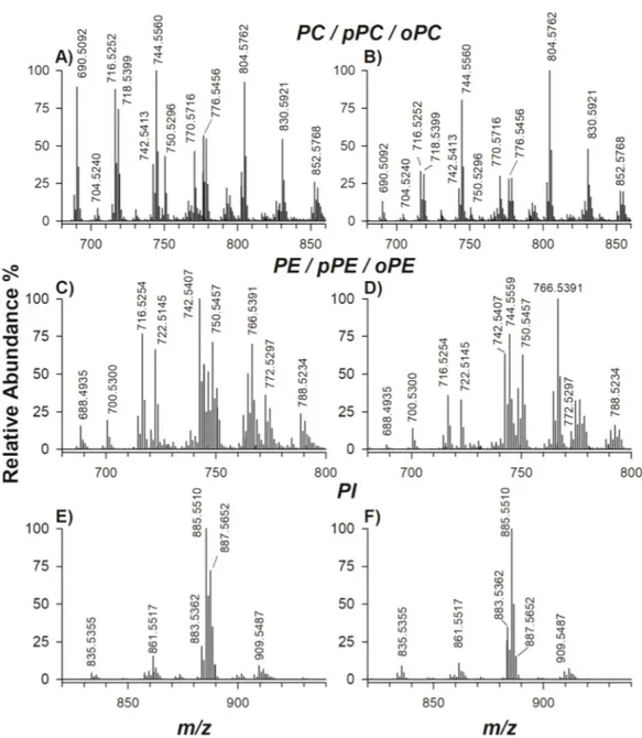 Figure 2. Fourier transform mass spectrometry (FTMS) spectra relevant to phosphatidylcholines (PC),  phosphatidylethanolamines (PE) and phosphatidylinositols (PI) in negative ion mode averaged under  the chromatographic bands of fibroblast lipid extract re
