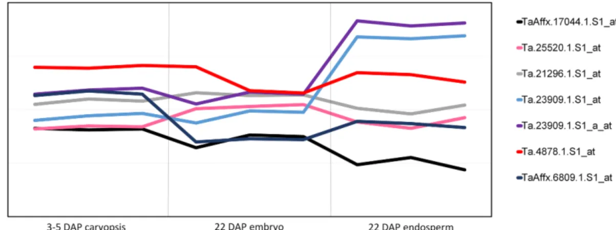Fig 5. Expression analysis from PLEXdb database of candidate genes for AX biosynthesis