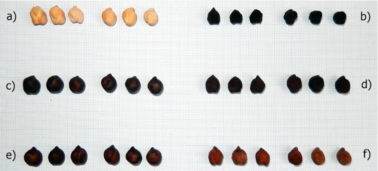 Fig. 5. Seed phenotype of a typical kabuli accession (cv. Cometa) (a), a typical accession of Apulian black chickpea (MG_21) (b), and  the accessions MG_9 (c), MG_15 (d), MG_17 (e), and MG_24 (f).