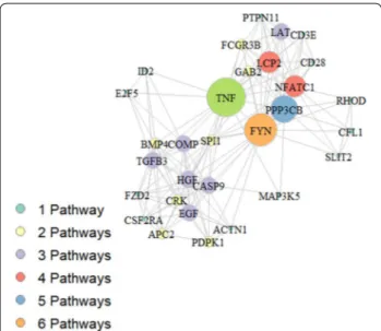 Fig. 7  Network obtained from genes sharing different pathways. 