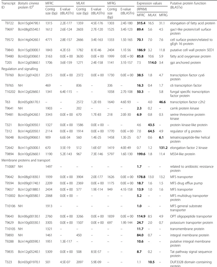 Table 5 Differentially expressed transcripts (DETs) identified in Monilinia fructicola (MFRC), Monilinia laxa (MLAX) and Monilinia fructigena (MFRG) (Continued) Transcript ID Botrytis cinereaprotein ID¥