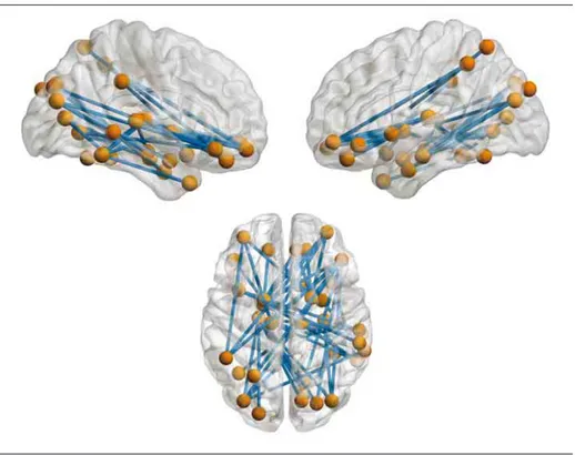 Figure 1. Altered Visual-Limbic Subnetwork in Relatives of Patients With Schizophrenia During Emotional Face Processing