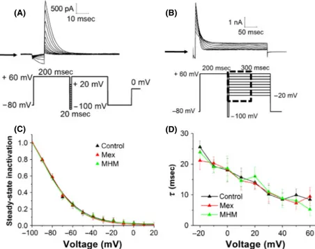 Figure 3. (A) Representative hERG current traces elicited by the voltage protocol shown in the lower panel, testing steady-state inactivation currents