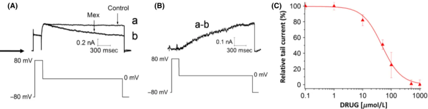 Figure 4. (A) Representative hERG current traces recorded before (control) or after addition of 10 lmol/L mexiletine (10 min incubation), using the protocol shown in the lower panel