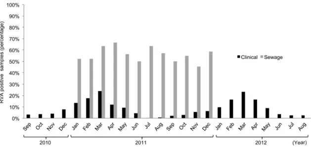 Figure 1 reports the average proportions of RVA-positive sew- sew-age samples by month in 2011, when samples were taken from all four cities of the study, showing the occurrence of RVA  through-out the year