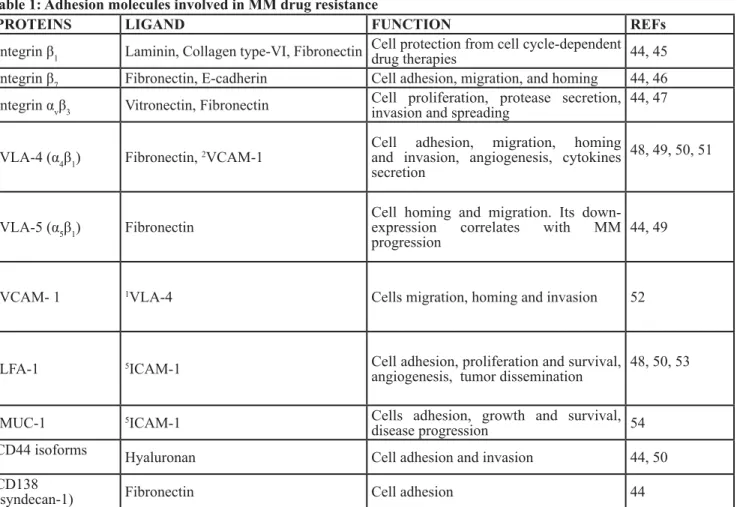 table 1: Adhesion molecules involved in MM drug resistance