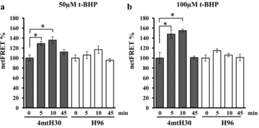 Fig. 5 the pretreatment with 8-Br-cAMP also prevented the appearance of S-OPA1 form ( Fig