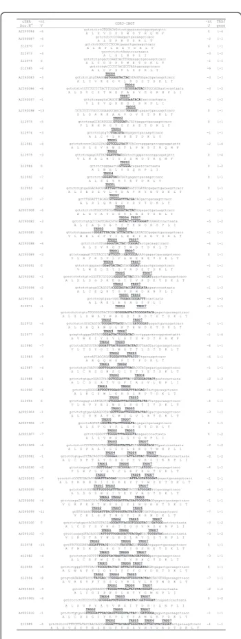 Fig. 3 CDR3 nucleotide and predicted AA sequences retrieved from the TRD cDNA clones. The first column reports the accession numbers of all cDNA sequences